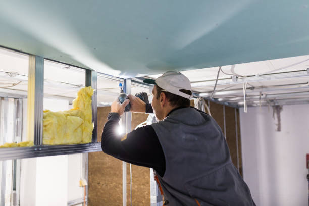 Best Cellulose Insulation in Rayre, MO