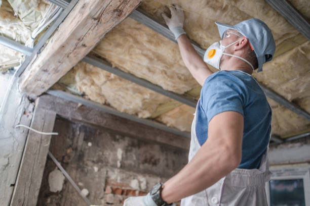 Best Specialized Insulation Services in Rayre, MO