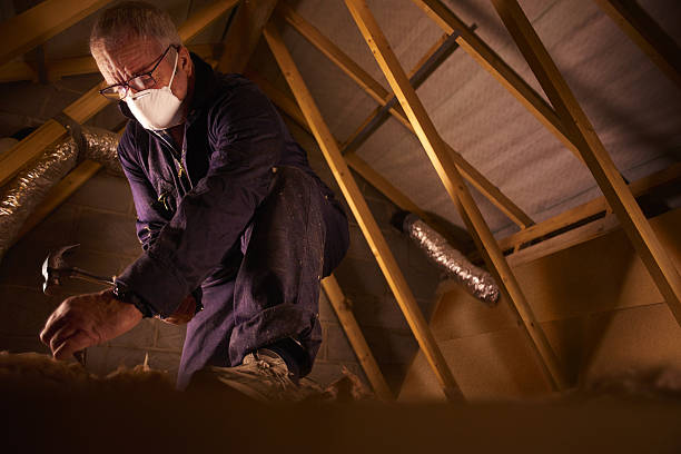 Best Insulation Maintenance and Repair in Rayre, MO